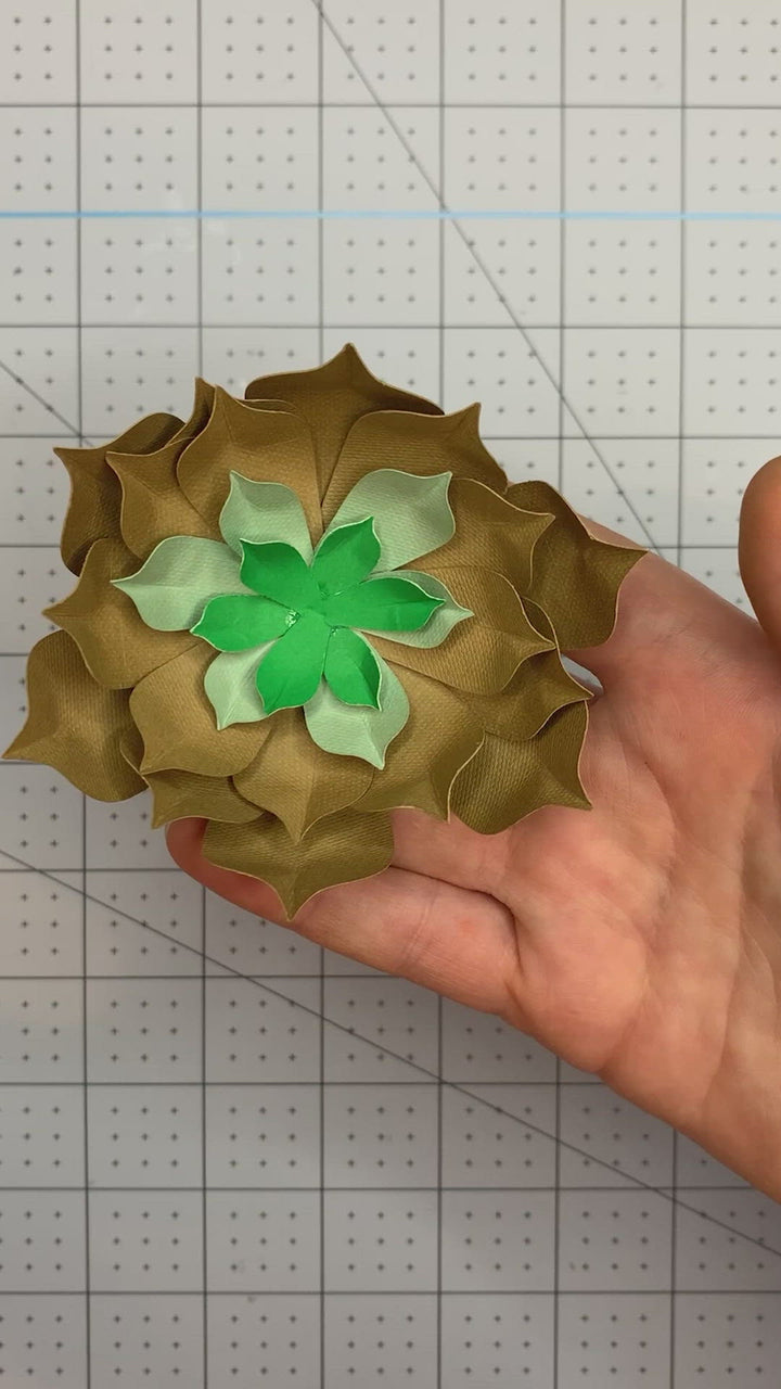 Plantilla suculenta en capas florales