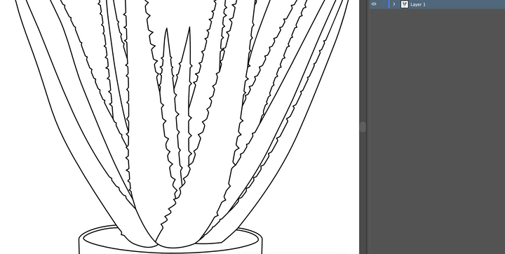 Aloe Vera Plant Pot Outline