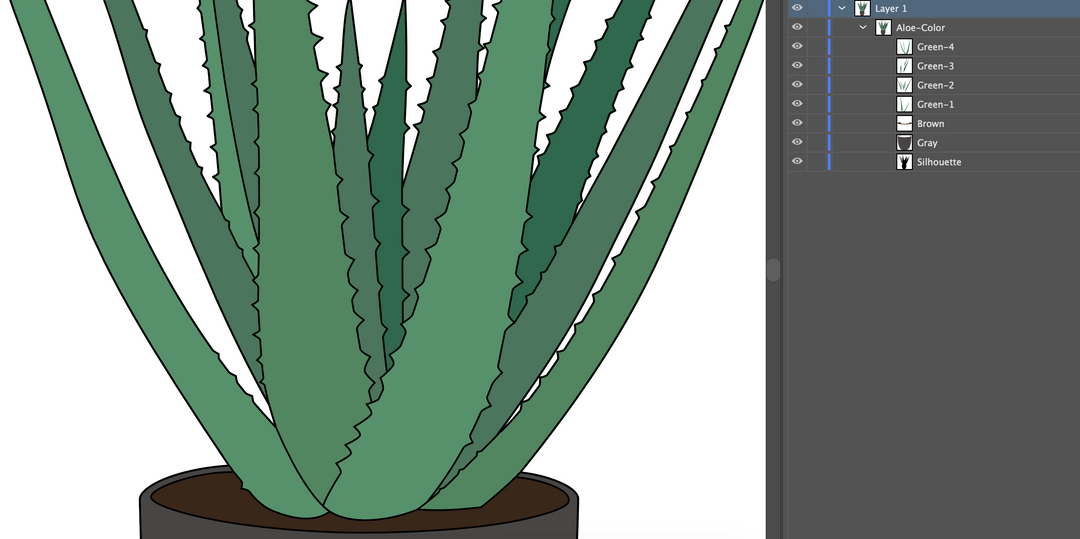 Aloe Vera Plant Pot