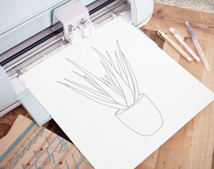 Aloe Vera Plant Pot Outline