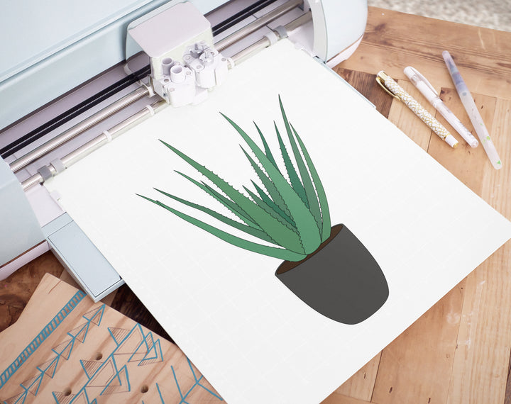 Aloe Vera Plant Pot