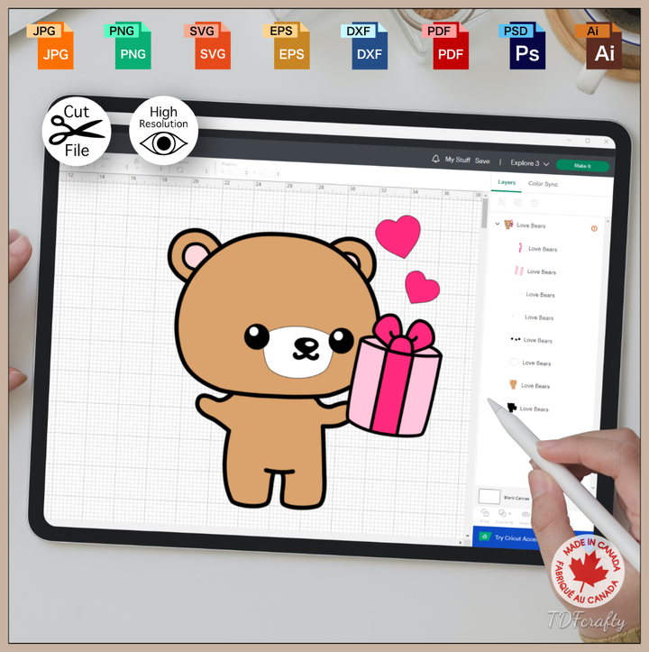 Bear with Gift