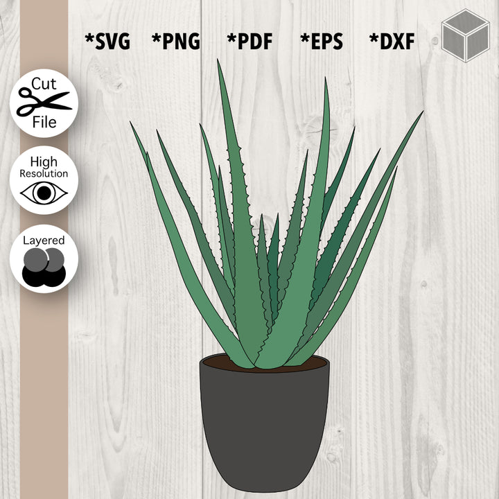 Aloe Vera Plant Pot