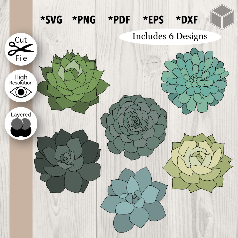 Succulents Bundle SVG | The Digital Files  Mr. & Mrs. Crafty