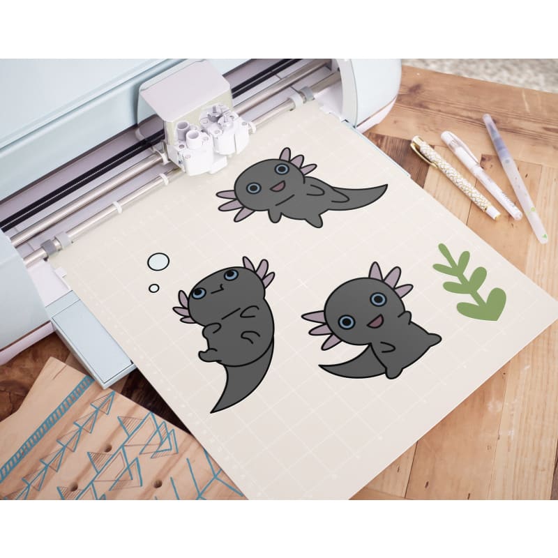 Bonito lote de ajolote negro