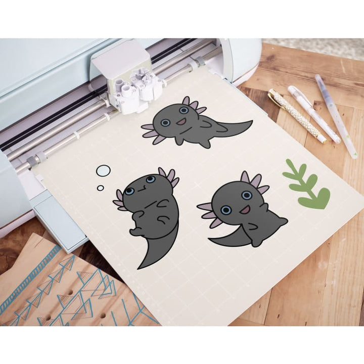 Bonito lote de ajolote negro