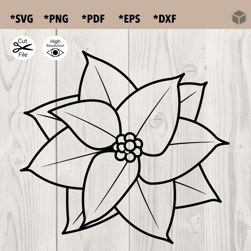Poinsettia Outline