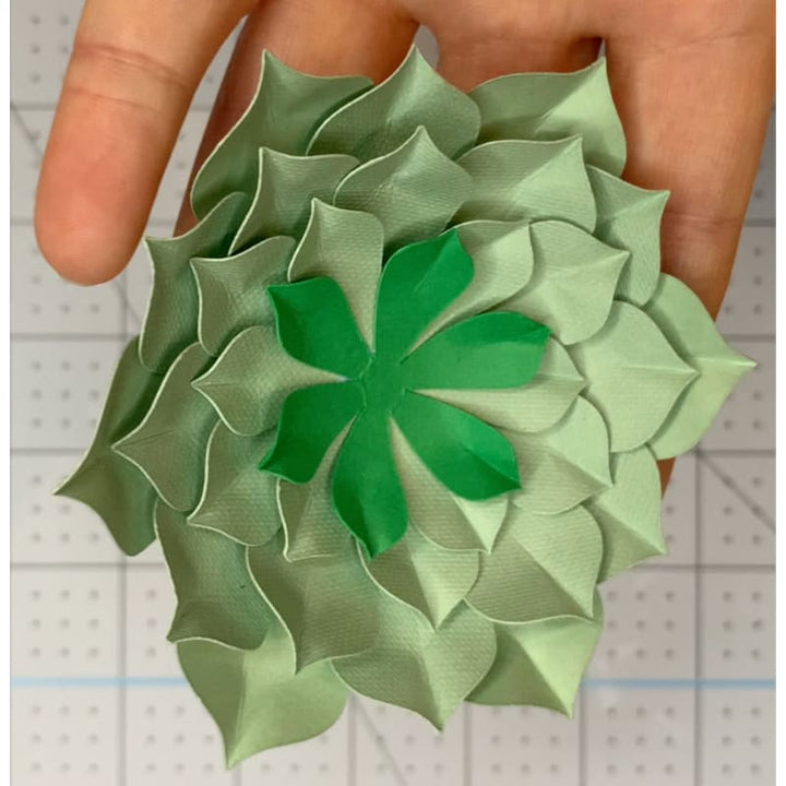 Layered Paper Succulents Template