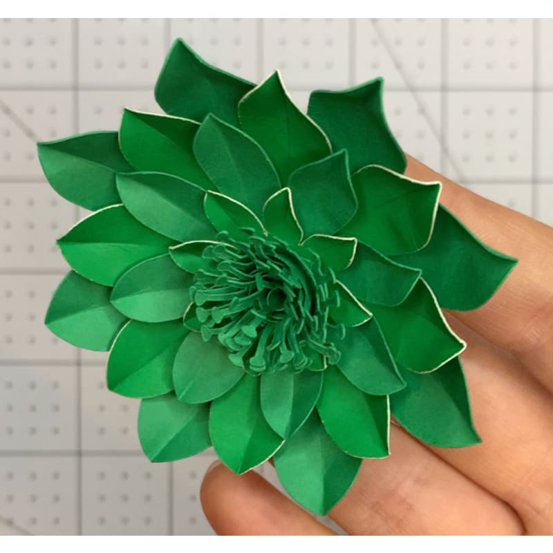 Layered Paper Succulents Template