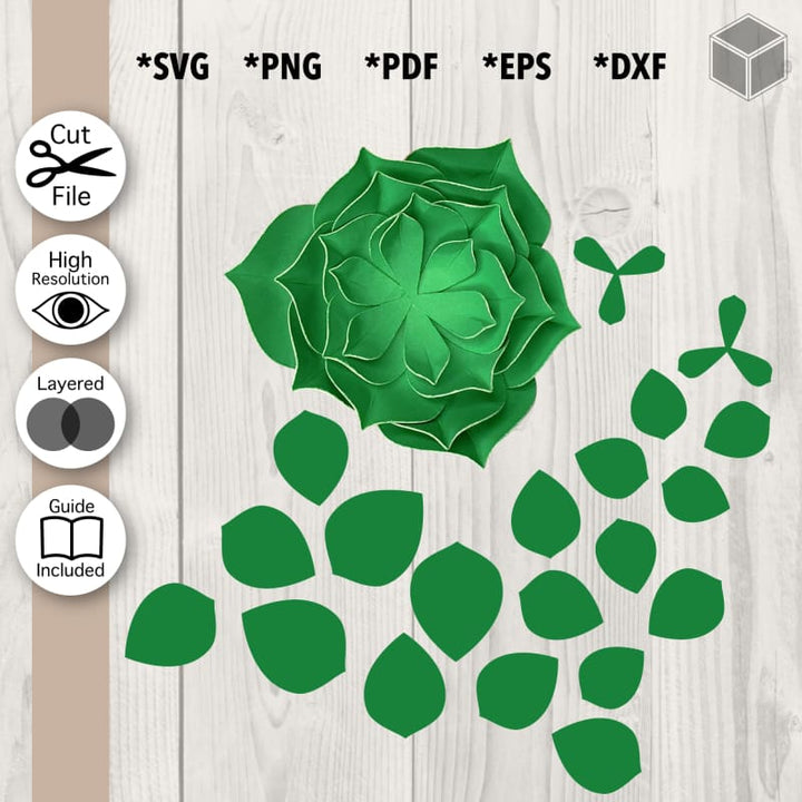 Plantilla suculenta floreciente