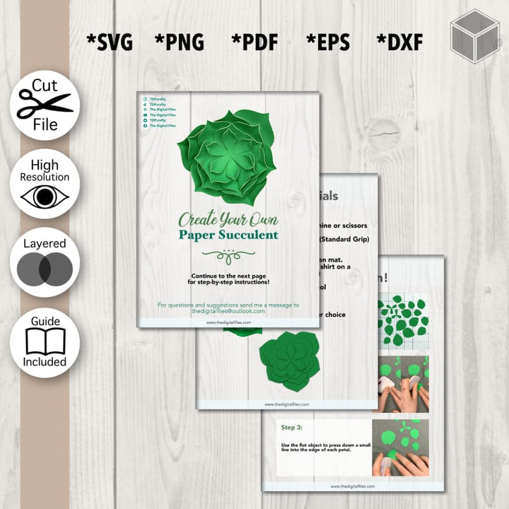 Plantilla suculenta floreciente