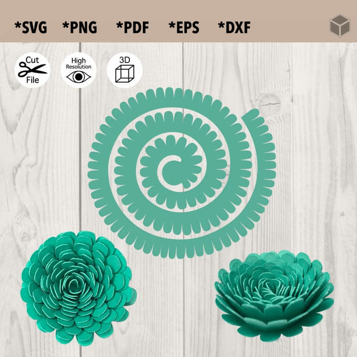 Modèle succulent mignon