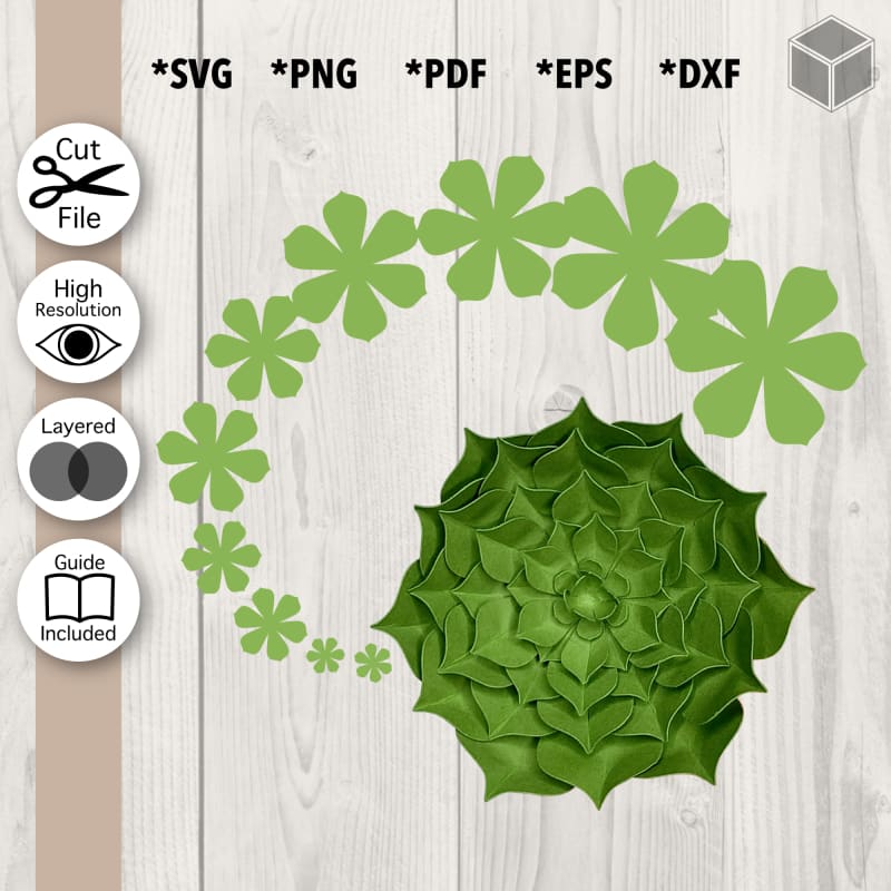 Detailed Layered Succulent Template SVG File | The Digital Files – TDFcrafty