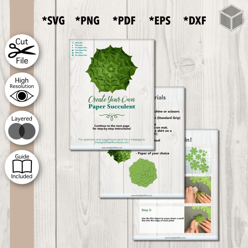 Detailed Layered Succulent Template