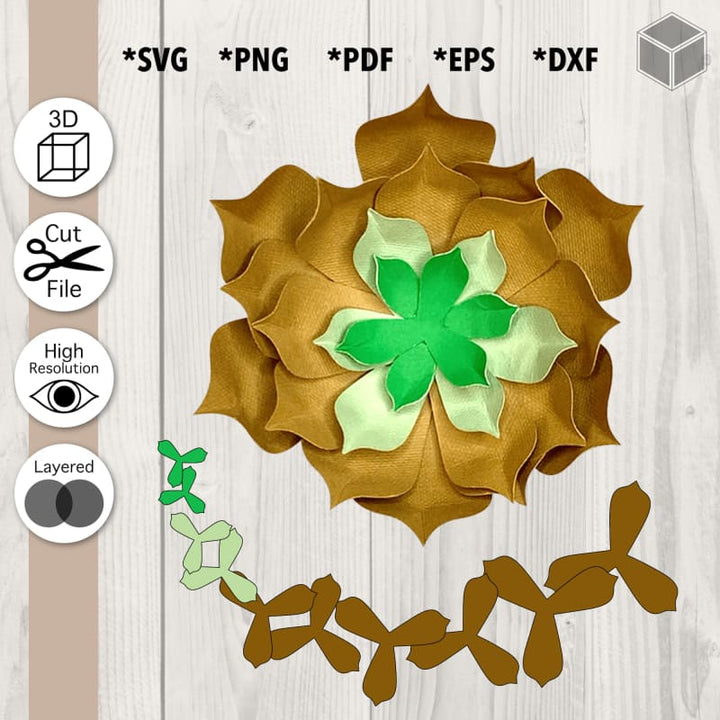 Plantilla suculenta en capas florales