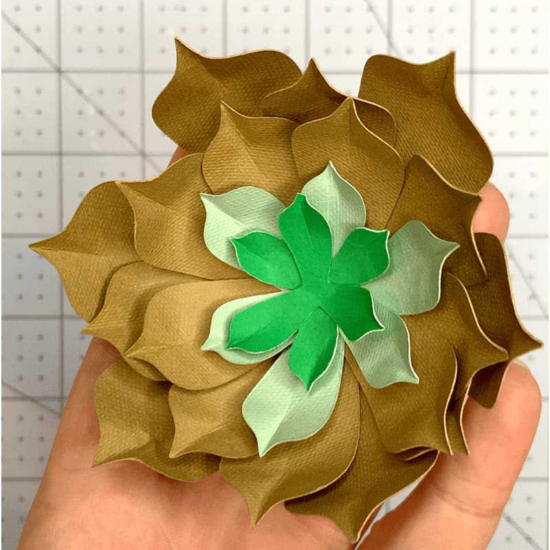 Plantilla suculenta en capas florales