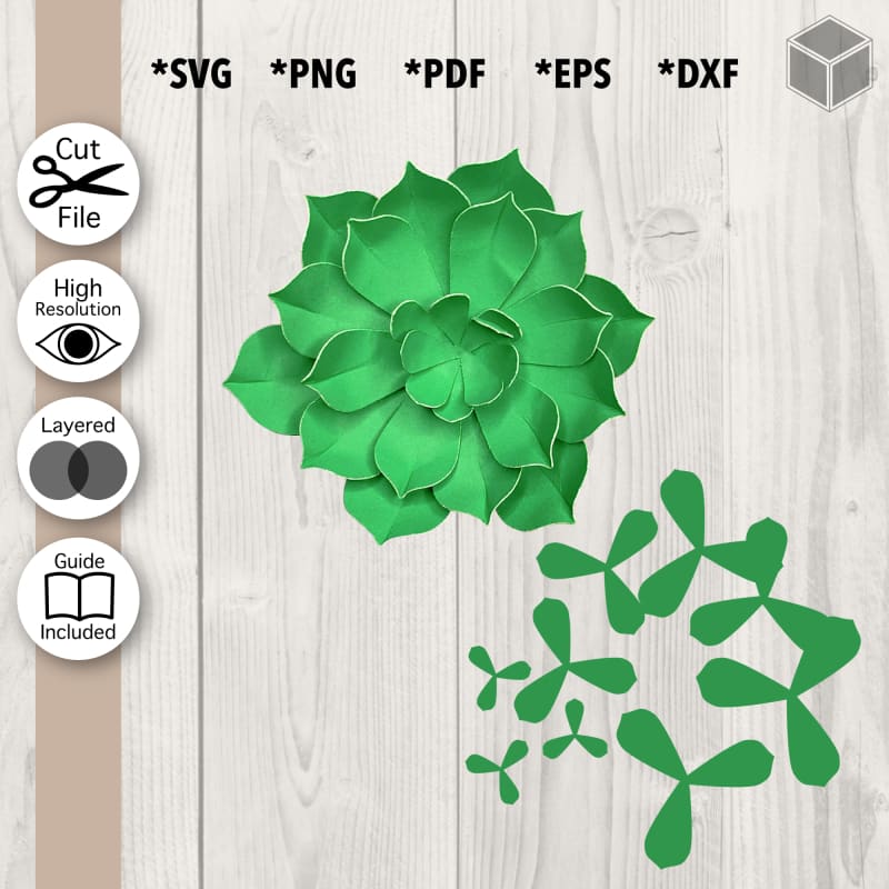 Plantilla suculenta esponjosa