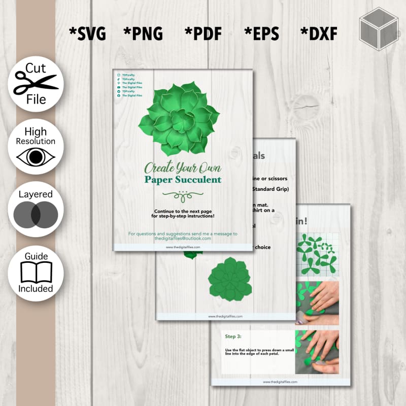 Plantilla suculenta esponjosa