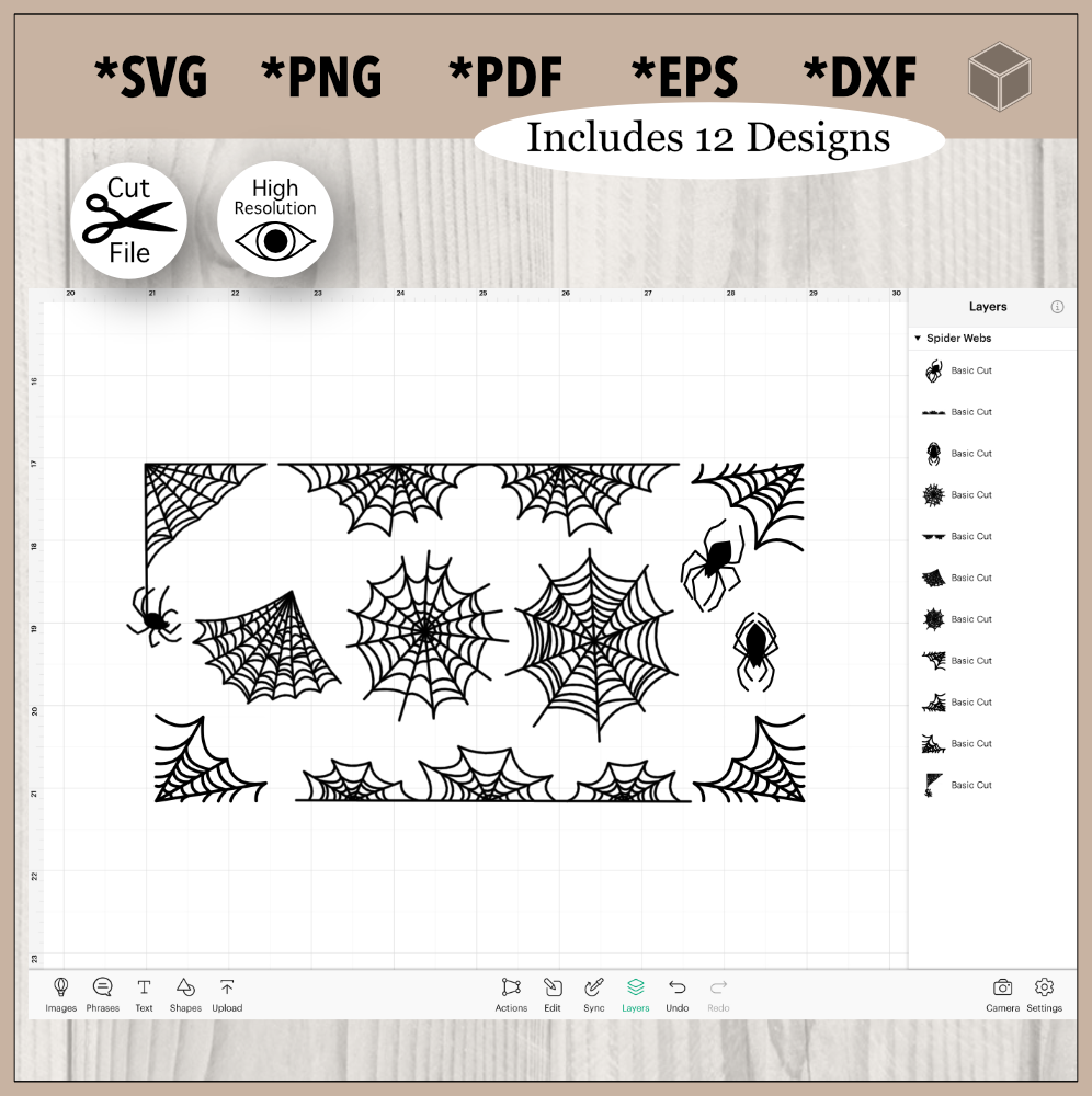 Spider Webs Bundle