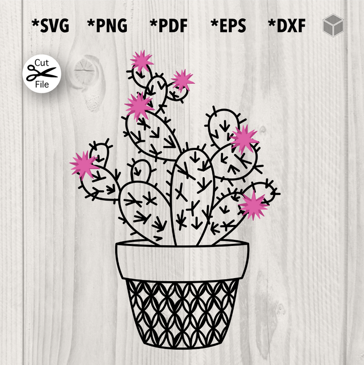 Blooming Cactus