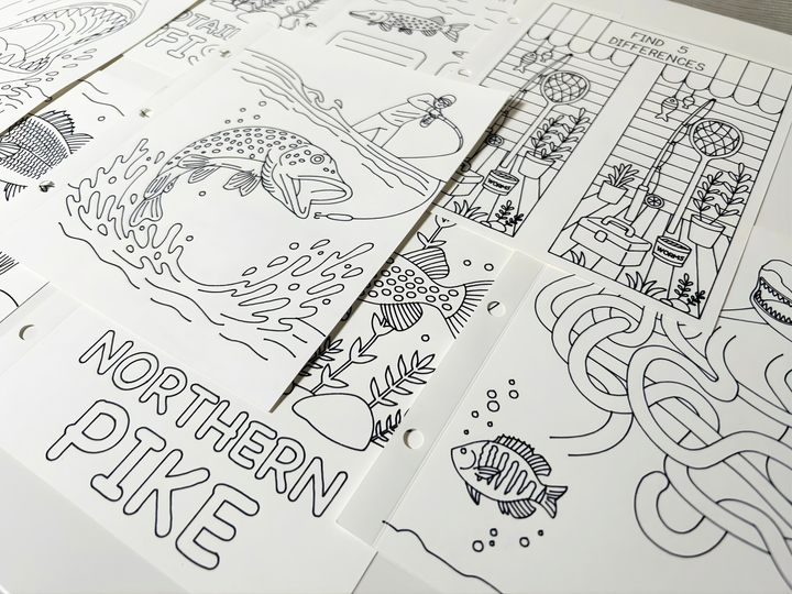 Fishing Activity Book