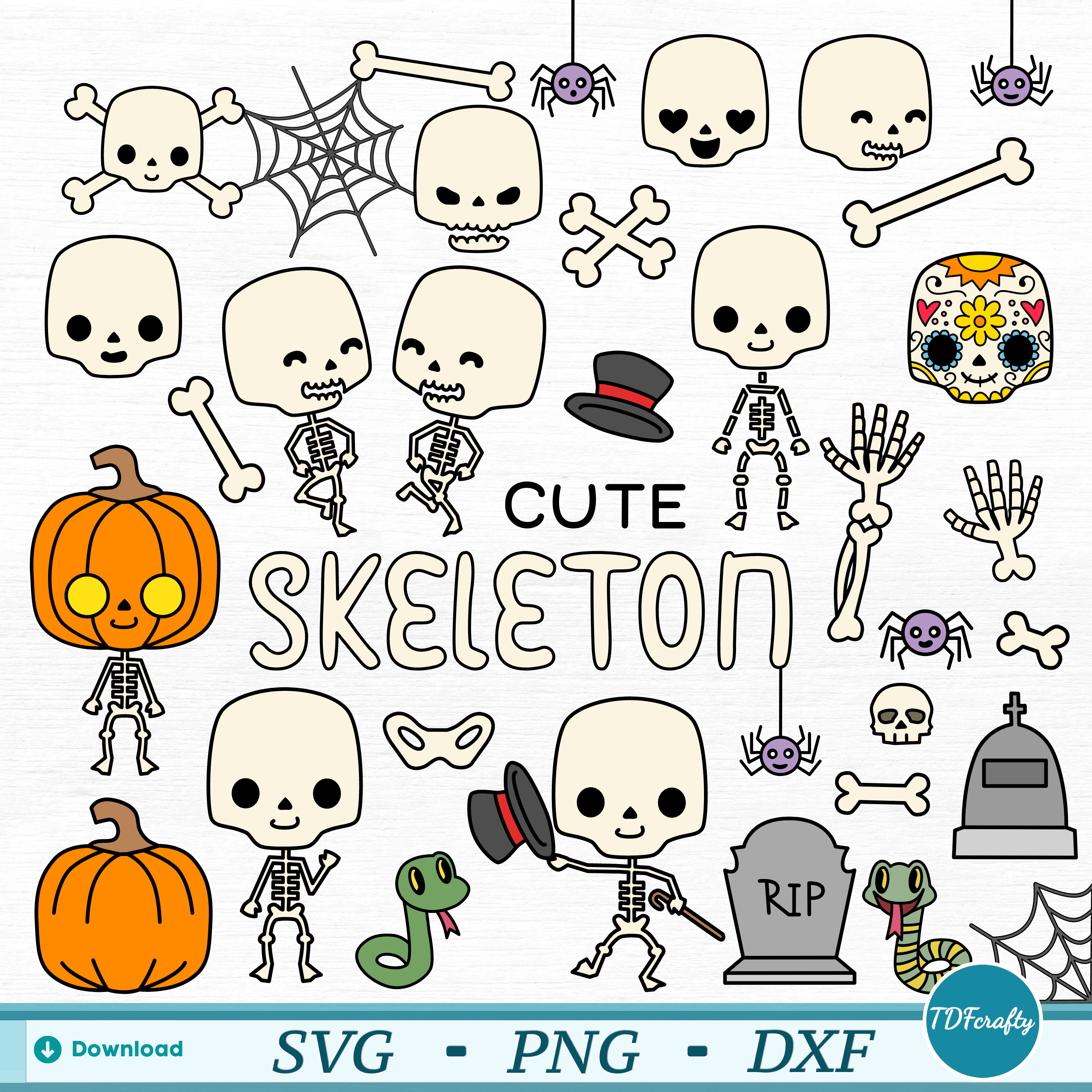 Skeleton Color Bundle SVG, PNG, DXF Files | The Digital Files – Mr ...