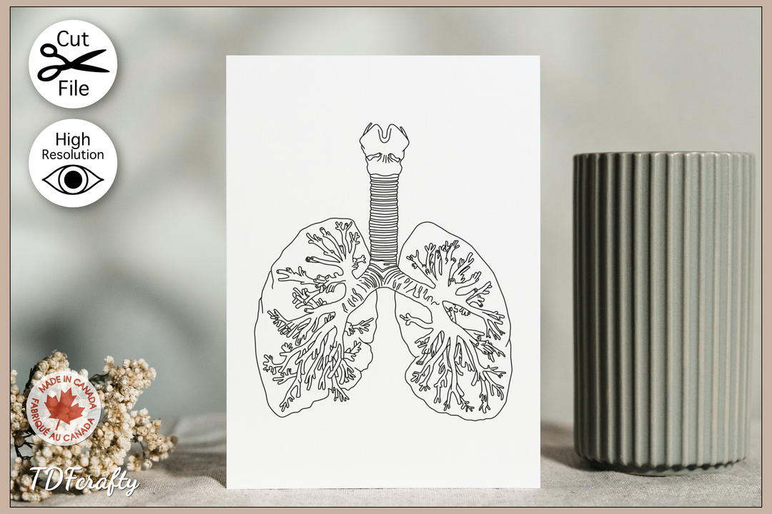 Lungs Outline