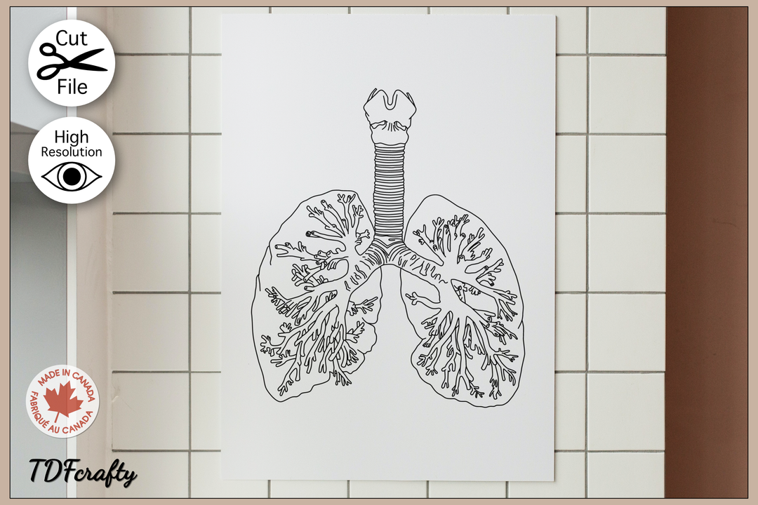 Lungs Outline