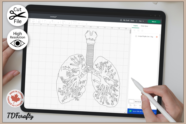 Lungs Outline