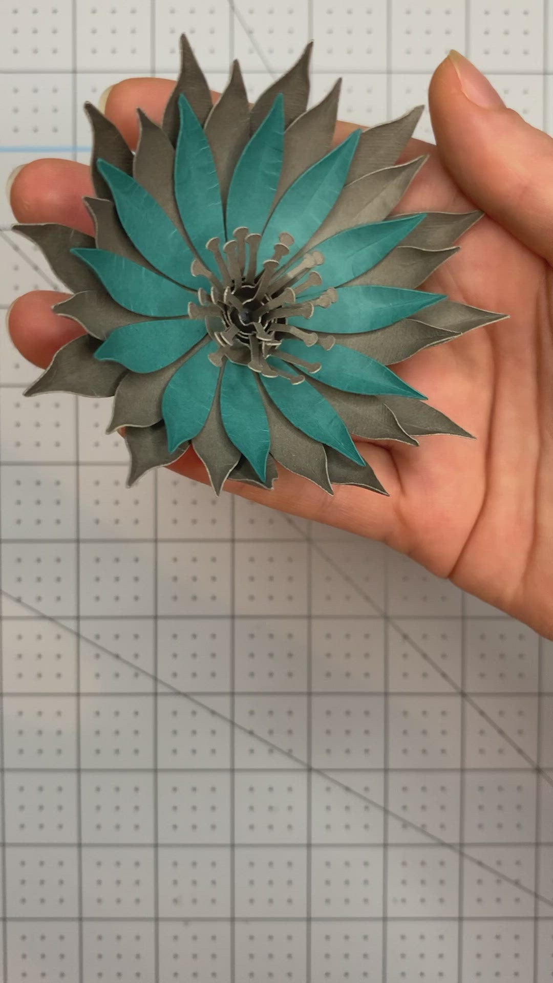 Spiked Layered Succulent Template