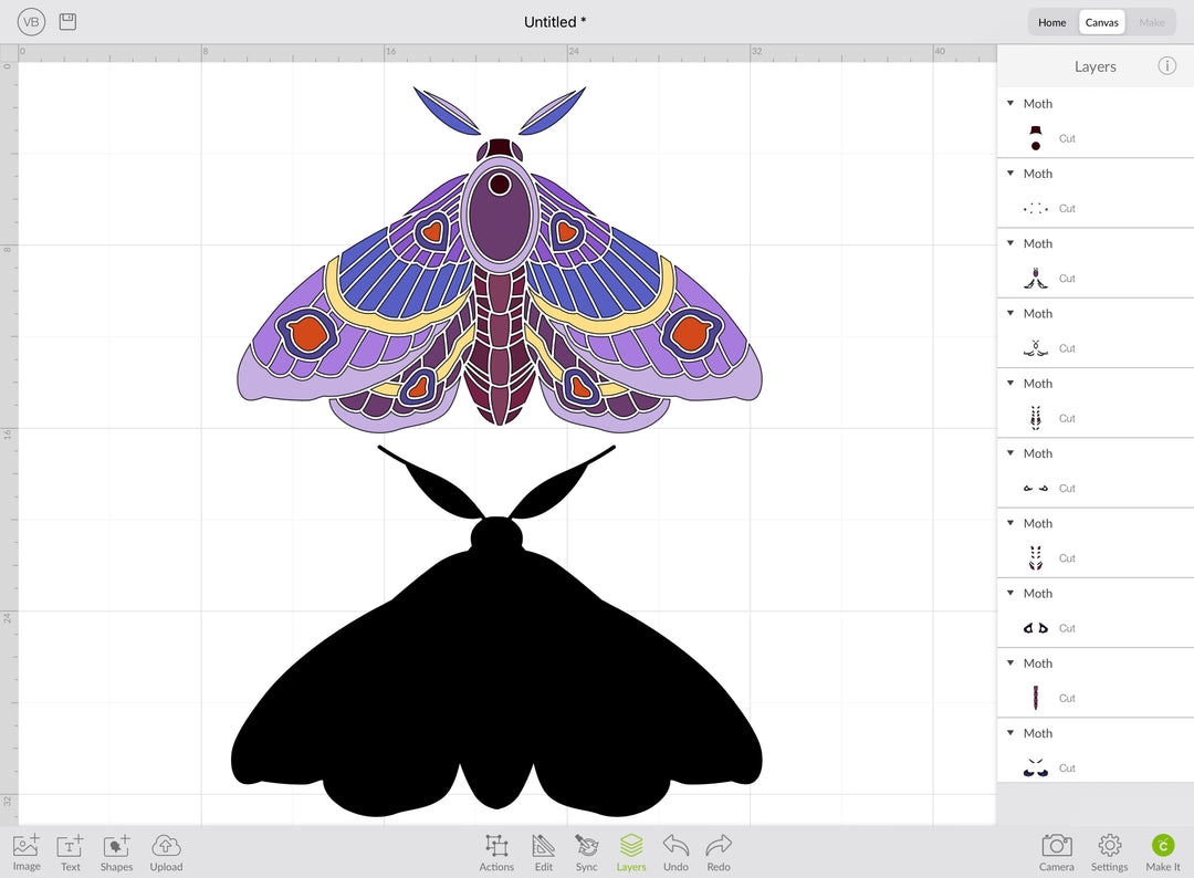 Detailed Purple Moth