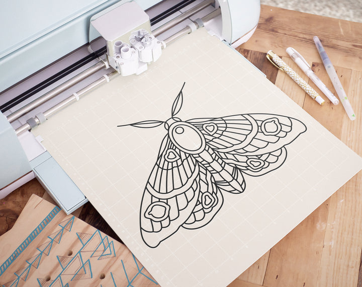 Moth Line Art