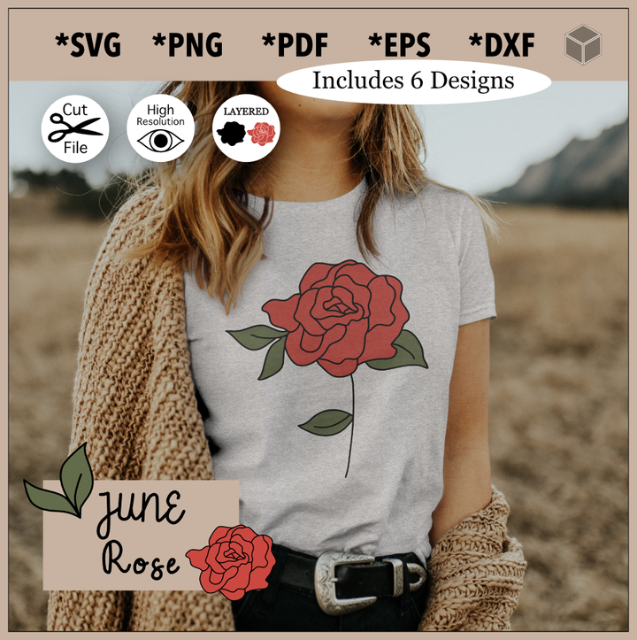 Ensemble d'illustration de fleur de rose de juin