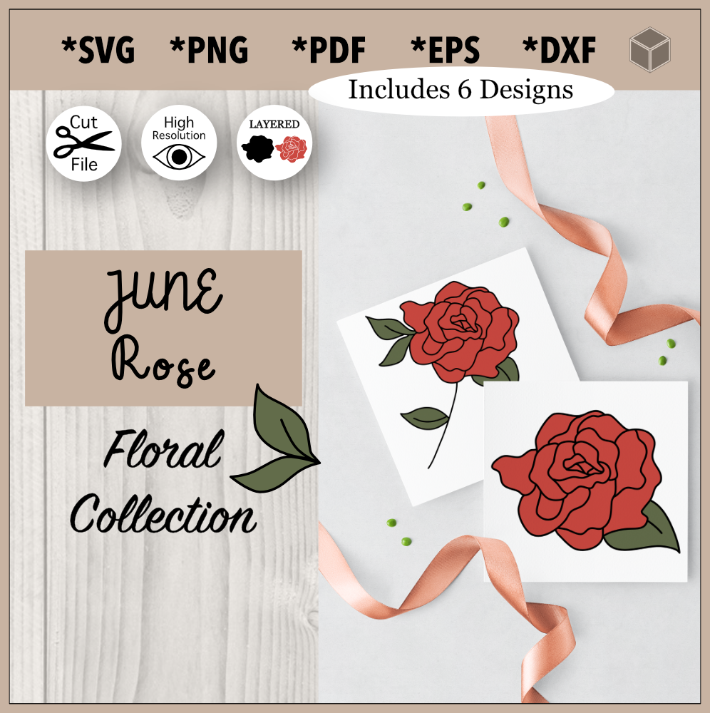 Ensemble d'illustration de fleur de rose de juin