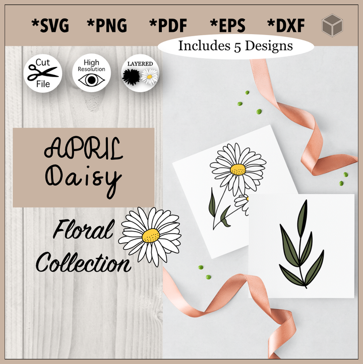 Conjunto de ilustración de flor de margarita de abril