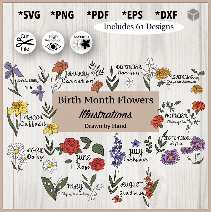 Lot d'illustrations de fleurs du mois de naissance