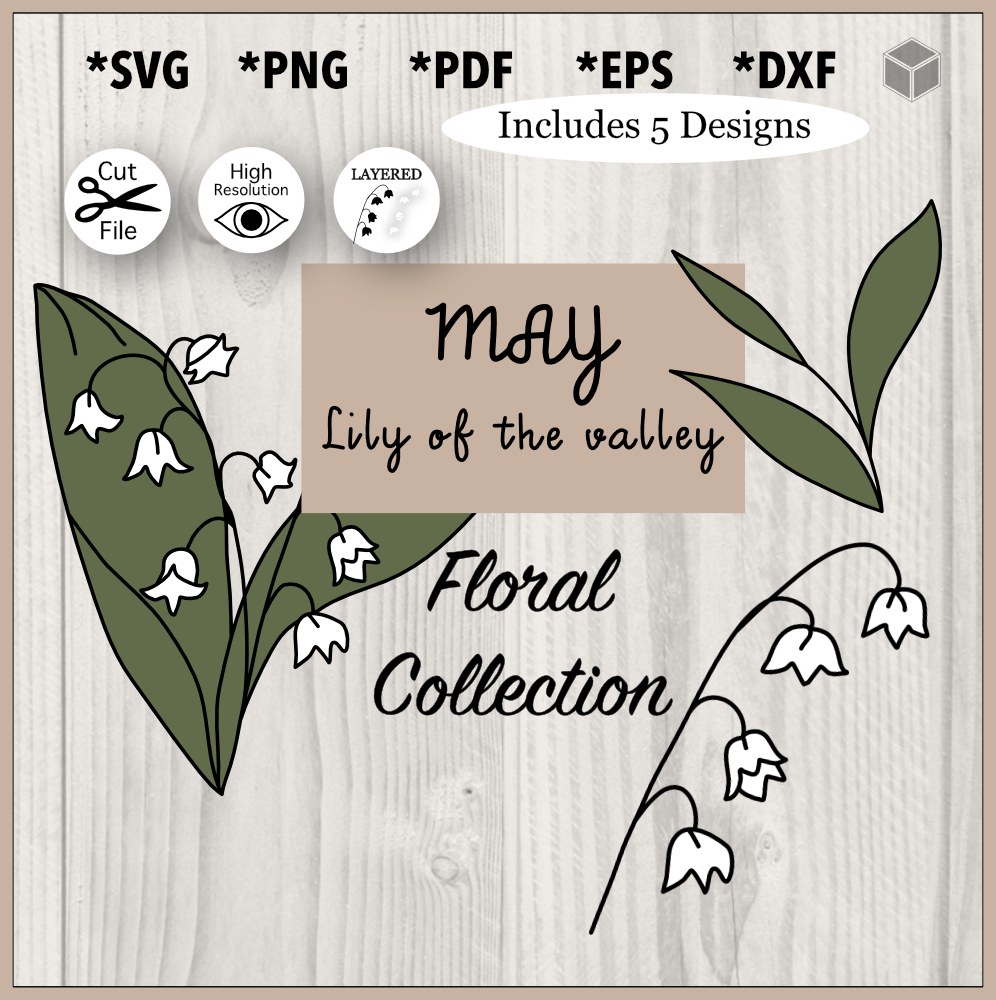 Conjunto de ilustración de flor de lirio de mayo