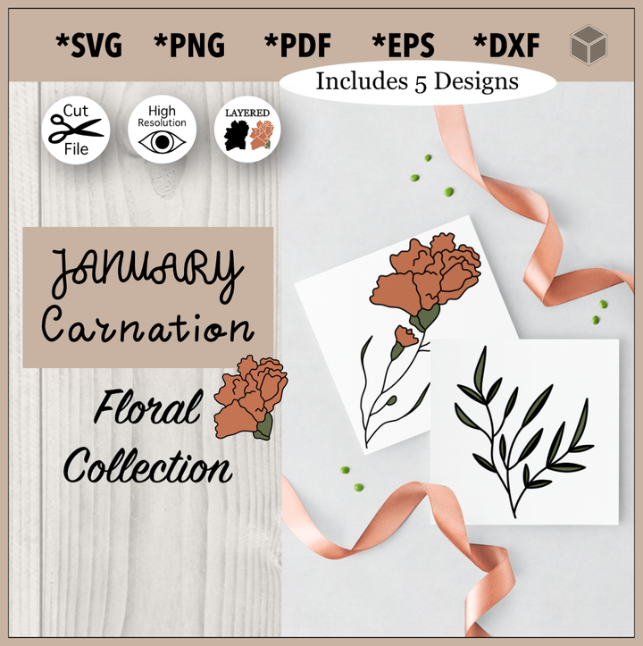 Conjunto de ilustración de flor de clavel de enero