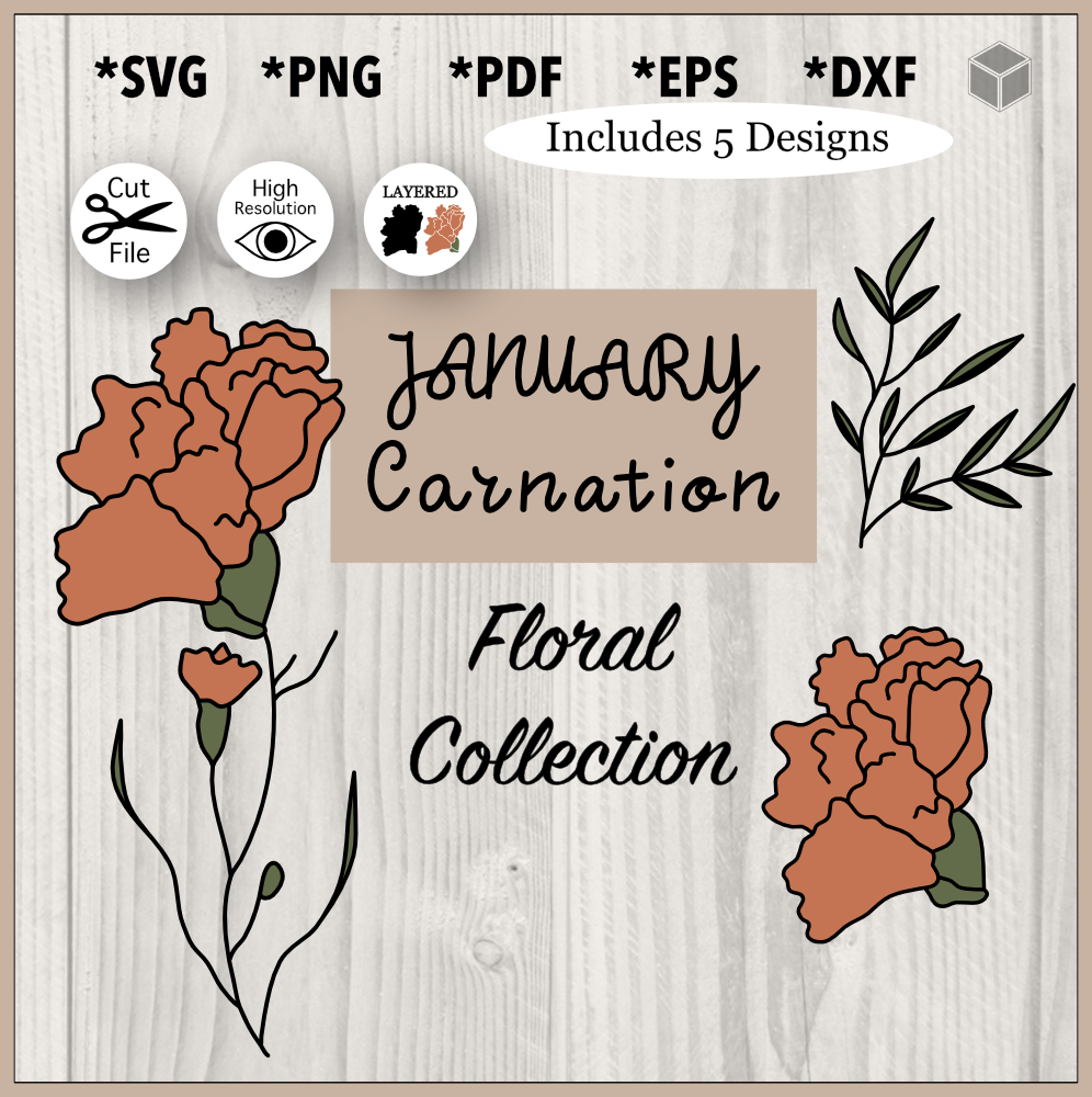 January Carnation Flower Illustration Set
