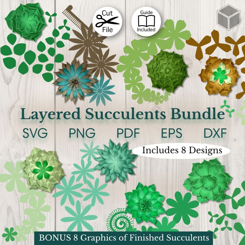 Layered Paper Succulents Template