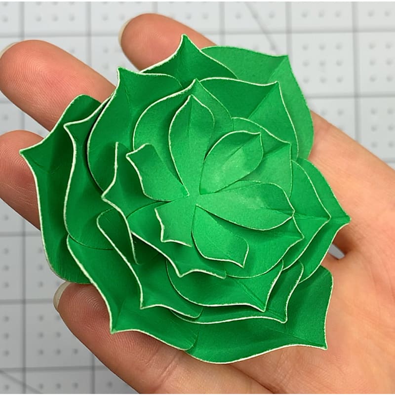 Modèle de papier succulent en couches