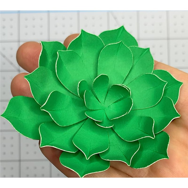 Modèle de papier succulent en couches