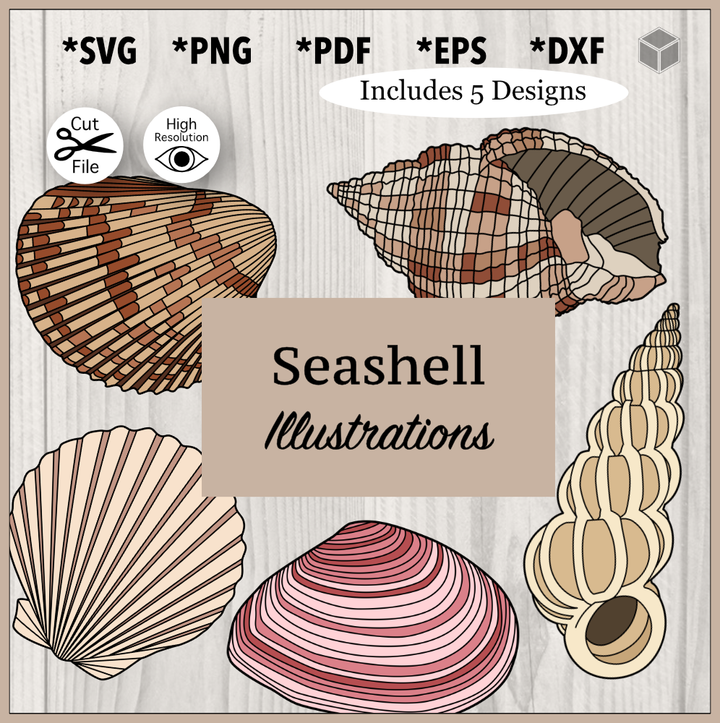 Paquete detallado de colores de conchas marinas