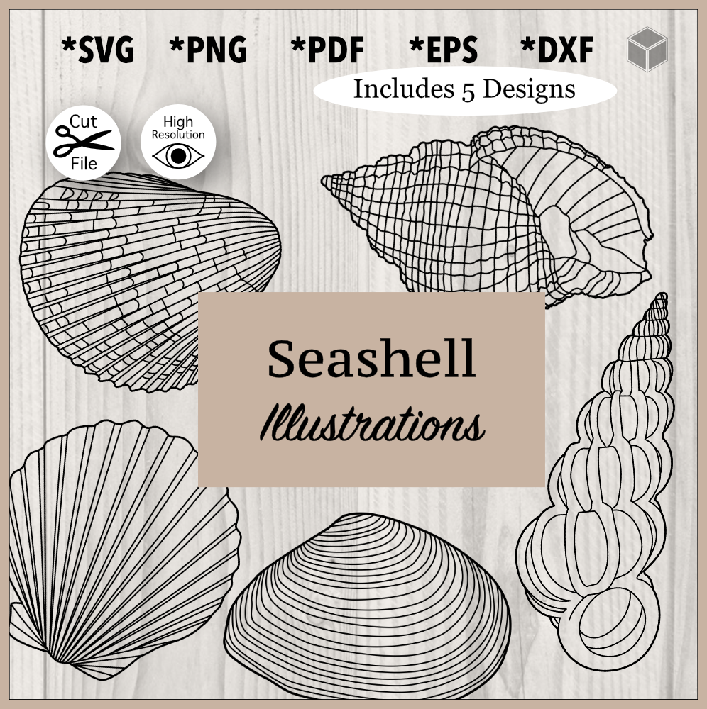 Detailed Seashells Outline Bundle