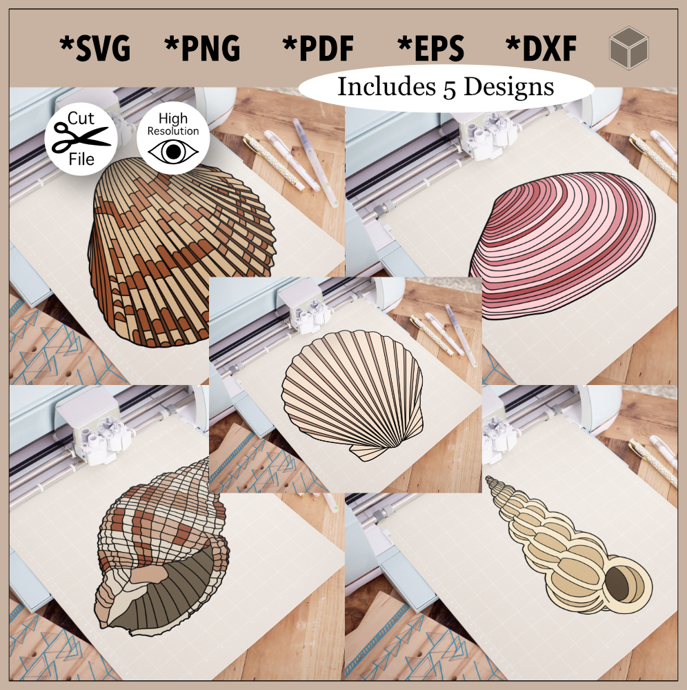 Shell Colouring Svg Detailed Seashells Color Bundle SVG File | The Digital Files – Mr ...