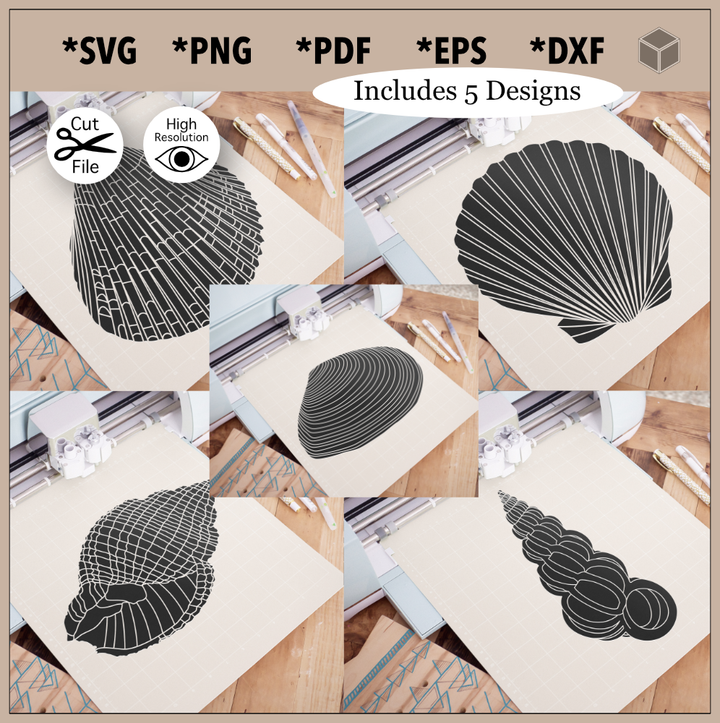 Detailed Seashells Silhouette Bundle