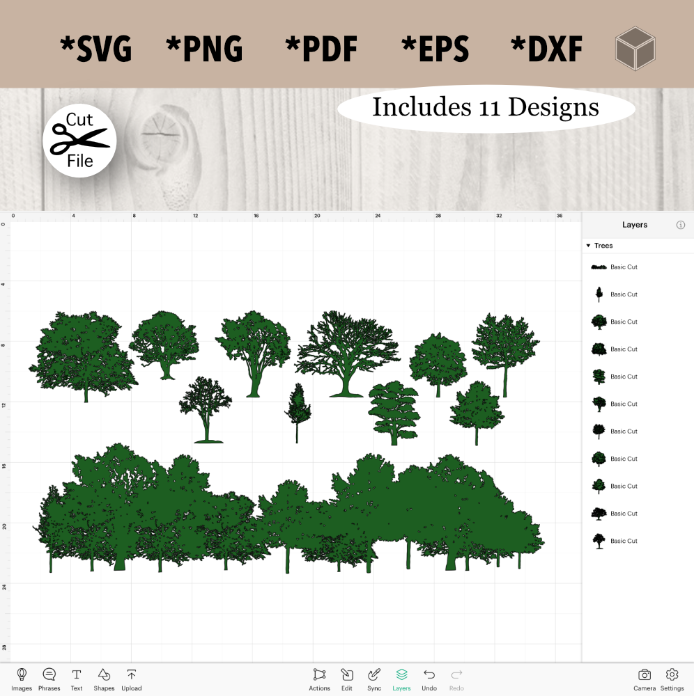 Ensemble de silhouettes d'arbres forestiers classiques